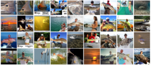 2014 was Skiff Life's most successful year.