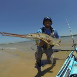 Got chompers?!? Jurassic Park Kayak Fishing was dropping jigs on stumps in Lake Texoma and got this toothy Long Nosed Gar to play dentist! Nice work, super cool fish!