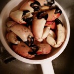 florida-stone-crab-harvest