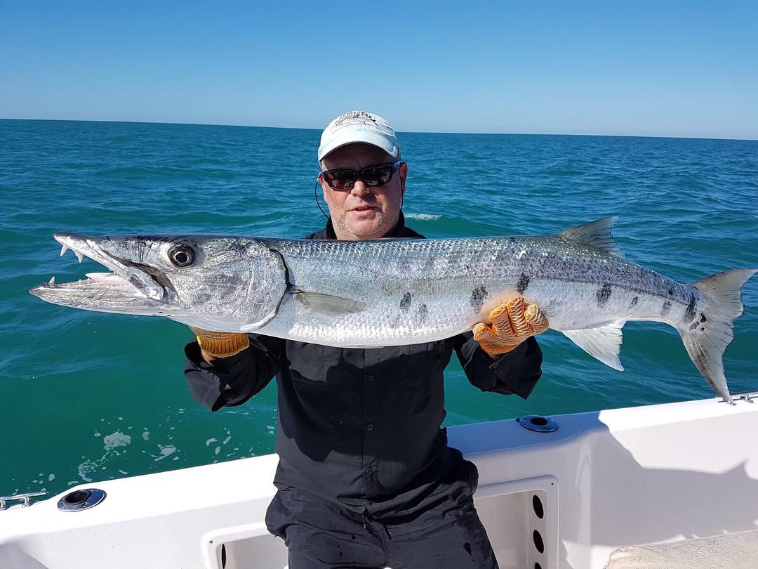 barracuda-fishing