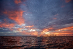 sunset-flamingo-everglades-fishing-pat-ford-skiff-life.jpg